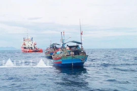 Hội nghề cá Việt Nam phản đối lệnh cấm đánh bắt cá phi lý của Trung Quốc ở Biển Đông 
