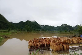 Cảnh báo nguy cơ sạt lở đất rất cao ở Lạng Sơn, Bắc Kạn