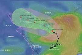  Bão số 2 đang ở thời điểm mạnh nhất