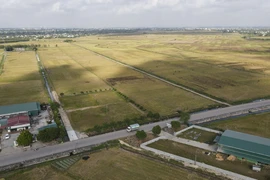 Đại điền giúp Thái Bình giảm ruộng bỏ hoang