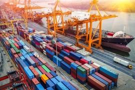 Một công ty Việt xuất khẩu điều sang Algeria nguy cơ mất 11 tỉ