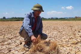 Thủ tướng yêu cầu cấp bách ứng phó với nguy cơ nắng nóng, hạn hán