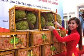Thông báo mới nhất từ Trung Quốc về kết quả kiểm tra sầu riêng Việt Nam