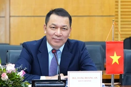 Thứ trưởng Đặng Hoàng An làm Chủ tịch HĐTV Tập đoàn Điện lực Việt Nam
