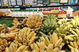 Cảnh báo nhiều lô hàng chuối, xoài, sầu riêng... vi phạm về kiểm dịch thực vật