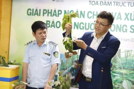 Đối tượng buôn lậu cho sâm vào thùng xốp thả trôi sông
