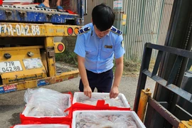 4,5 tấn cá khoai 'tẩm' formol được phát hiện trên 1 xe tải ở Thanh Hoá 