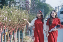 Dự báo thời tiết Tết Nguyên đán Giáp Thìn 2024