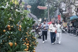Dự báo thời tiết Tết Nguyên đán Giáp Thìn 2024 trên cả nước