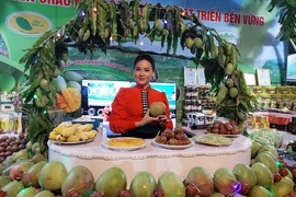 Xúc tiến thương mại, đầu tư cho các tỉnh trung du và miền núi phía Bắc