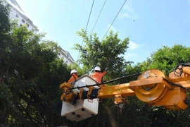 Bão số 3 sắp đổ bộ, ngành điện khuyến cáo người dân không làm 5 việc sau