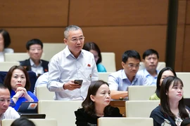 ‘Đi địa phương nào cũng thấy màu xanh của rừng là không bền vững, chủ yếu keo, bạch đàn’