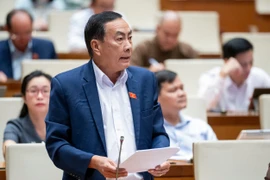 ĐBQH: ‘Khoáng sản là miếng mồi ngon' nên nhiều đối tượng tìm cách lách luật để khai thác