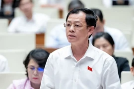 ĐBQH: ‘Quy định theo pháp luật liên quan thì không rõ là pháp luật nào?’
