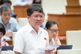 ĐBQH Tạ Văn Hạ: 'Quy định như thế này, đến mùa quýt mới có thị trường điện cạnh tranh thực sự'