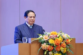 Thủ tướng: Gỡ vướng dự án năng lượng tái tạo tránh phát sinh sai phạm mới 
