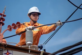 Lý do EVN thoát lỗ năm 2024 