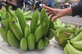 Chợ 25 Tết, 350.000- 500.000 đồng/nải chuối xanh