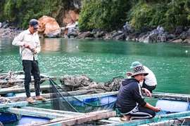 Sáng nay, Chương trình Cùng ngư dân Thắp sáng đèn trên biển đến với bà con ngư dân TP Hải Phòng