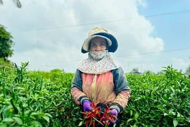 Nông sản Việt có thêm 'giấy thông hành' vào thị trường tỉ dân Trung Quốc