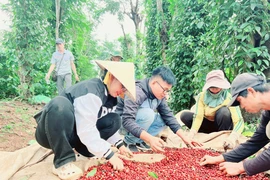 Công điện mới của Thủ tướng ứng phó với biến động thương mại toàn cầu