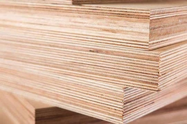 Hoa Kỳ nhận hồ sơ đề nghị điều tra chống bán phá giá gỗ dán cứng từ Việt Nam