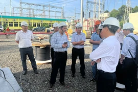 Nỗ lực hoàn thành Dự án Nâng cấp hệ thống điều khiển bảo vệ 7 trạm biến áp 220kV khu vực phía Nam