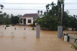 7 người chết và mất tích vì bão số 1