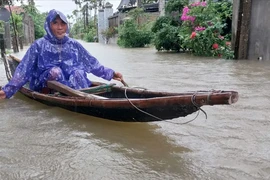 Bộ Nông nghiệp và Môi trường hỗ trợ khẩn cấp Huế khắc phục hậu quả bão số 1