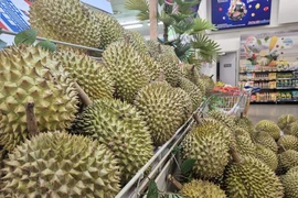 Xuất khẩu sầu riêng, dừa Việt... bị ảnh hưởng ra sao khi Mỹ áp thuế 20%?