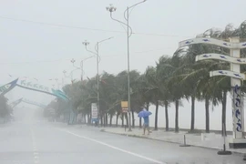 Áp thấp nhiệt đới đang hình thành trên Biển Đông