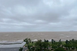 Biển Đông dồn dập áp thấp, áp thấp nhiệt đới