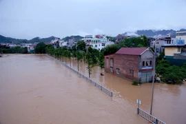Lũ đặc biệt lớn trên sông Thao