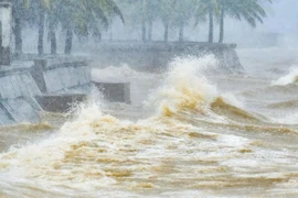 Biển Đông sắp có bão số 12