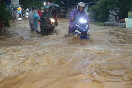 Bão số 12 gây mưa rất lớn ở miền Trung, yêu cầu sơ tán dân khỏi vùng nguy hiểm