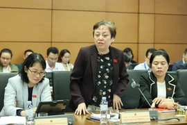 Đại biểu Quốc hội đề xuất có chính sách hỗ trợ cho gia đình đông con