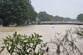 Bão số 13 đã tan, cảnh báo mưa to và lũ, sạt lở