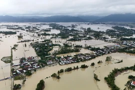 Phó Thủ tướng yêu cầu làm rõ nguyên nhân mưa lũ gây hậu quả nặng nề ở miền Trung