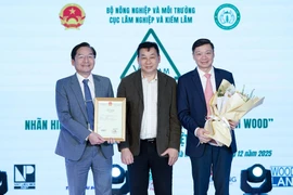 Công bố nhãn hiệu chứng nhận 'Gỗ Việt Nam'