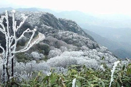 Rét đậm bao trùm miền Bắc, có nơi lạnh buốt gần 0 độ C