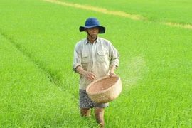 Doanh nghiệp nông nghiệp triển khai các giải pháp theo tinh thần 'lợi ích hài hòa, rủi ro chia sẻ'