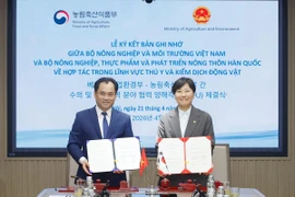 Việt Nam và Hàn Quốc mở cửa thị trường thịt gà chế biến