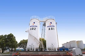 Petrolimex bán xăng sinh học E10 trên toàn hệ thống từ 20-5