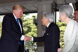 Diện kiến Nhật hoàng, Tổng thống Trump bắt tay đơn giản