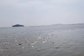 Dân Hàn lo chiến tranh thả tiền, gạo trôi về Triều Tiên