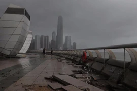 Bão Hato tràn vào Hong Kong và Macau: 12 người chết