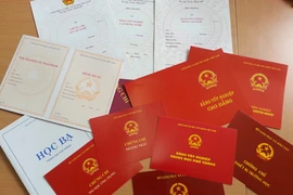 Xem xét kỷ luật hạt phó kiểm lâm dùng 2 bằng giả