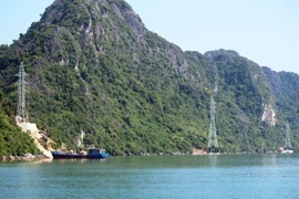 Toàn huyện đảo Cô Tô đang mất điện do sét đánh