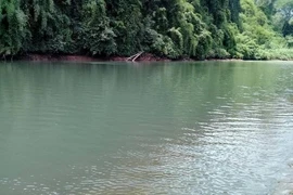 Cứu được vợ con thì người chồng bị nước cuốn