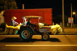 Nông dân Đà Nẵng hối hả gặt lúa xuyên đêm khi thành phố phong toả